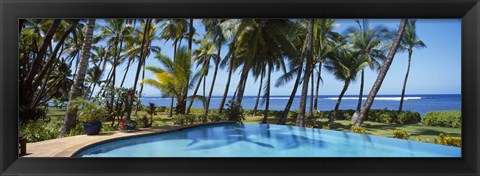 Framed Palm Trees in Maui, Hawaii (horizontal) Print