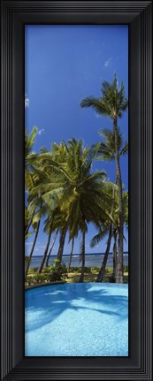 Framed Palm Trees in Maui, Hawaii (vertical) Print
