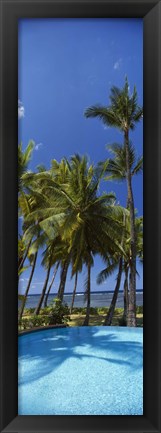 Framed Palm Trees in Maui, Hawaii (vertical) Print
