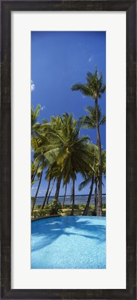 Framed Palm Trees in Maui, Hawaii (vertical) Print