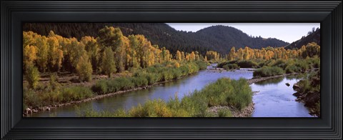 Framed River flowing through a forest, Jackson, Jackson Hole, Teton County, Wyoming, USA Print