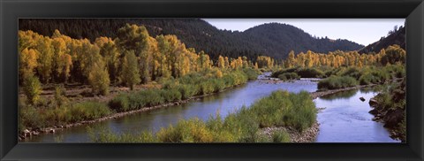 Framed River flowing through a forest, Jackson, Jackson Hole, Teton County, Wyoming, USA Print