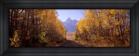 Framed Road passing through a forest, Grand Teton National Park, Teton County, Wyoming, USA Print