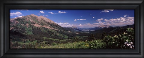 Framed Wildflowers with mountains in the background, Crested Butte, Gunnison County, Colorado, USA Print