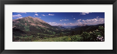 Framed Wildflowers with mountains in the background, Crested Butte, Gunnison County, Colorado, USA Print