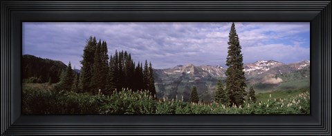 Framed Forest, Washington Gulch Trail, Crested Butte, Gunnison County, Colorado (horizontal) Print
