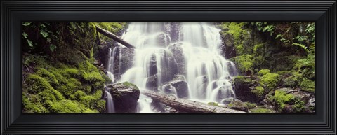 Framed Waterfall in a forest, Waheena Falls, Hood River, Oregon, USA Print
