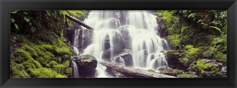 Framed Waterfall in a forest, Waheena Falls, Hood River, Oregon, USA Print