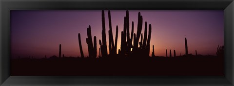 Framed Silhouette of Organ Pipe cacti (Stenocereus thurberi) on a landscape, Organ Pipe Cactus National Monument, Arizona, USA Print