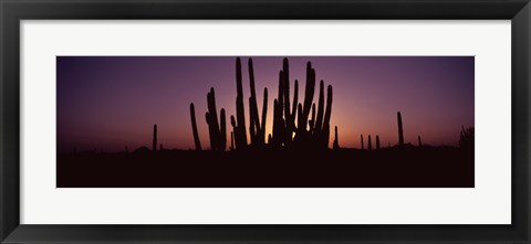 Framed Silhouette of Organ Pipe cacti (Stenocereus thurberi) on a landscape, Organ Pipe Cactus National Monument, Arizona, USA Print