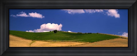 Framed Agricultural field, Ronda, Malaga Province, Andalusia, Spain Print