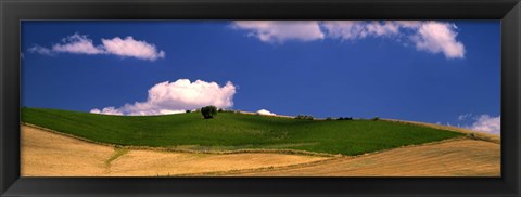 Framed Agricultural field, Ronda, Malaga Province, Andalusia, Spain Print