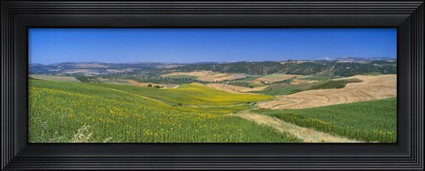 Framed Agricultural fields, Ronda, Malaga, Andalusia, Spain Print