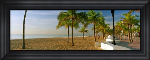 Framed Palm trees on the beach, Las Olas Boulevard, Fort Lauderdale, Florida, USA Print