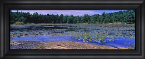 Framed Pond in a national park, Bubble Pond, Acadia National Park, Mount Desert Island, Hancock County, Maine, USA Print