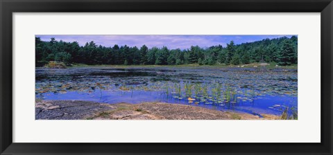 Framed Pond in a national park, Bubble Pond, Acadia National Park, Mount Desert Island, Hancock County, Maine, USA Print