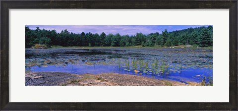 Framed Pond in a national park, Bubble Pond, Acadia National Park, Mount Desert Island, Hancock County, Maine, USA Print