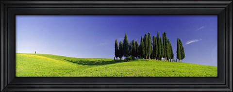 Framed Trees on a landscape, Val D&#39;Orcia, Siena Province, Tuscany, Italy Print