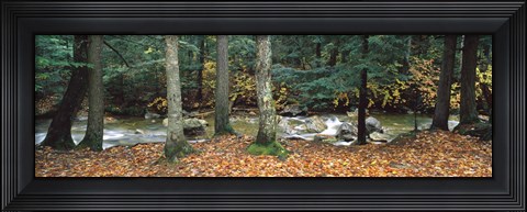 Framed River flowing through a forest, White Mountain National Forest, New Hampshire, USA Print