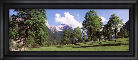 Framed Maple trees with mountain range in the background, Karwendel Mountains, Risstal Valley, Hinterriss, Tyrol, Austria Print