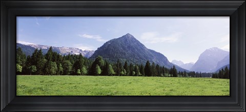 Framed Trees on a hill with mountain range in the background, Karwendel Mountains, Risstal Valley, Hinterriss, Tyrol, Austria Print