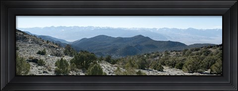 Framed Mountain range, White Mountains, Eastern Sierra, Bishop, Inyo County, California, USA Print