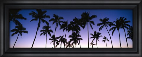Framed Silhouettes of palm trees at sunset Print