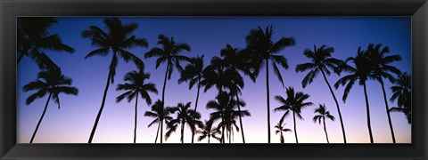 Framed Silhouettes of palm trees at sunset Print