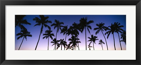 Framed Silhouettes of palm trees at sunset Print