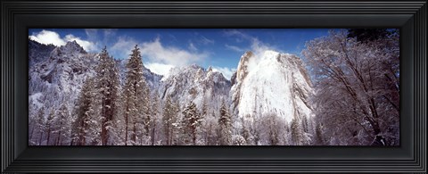 Framed Snowy trees with rocks in winter, Cathedral Rocks, Yosemite National Park, California, USA Print