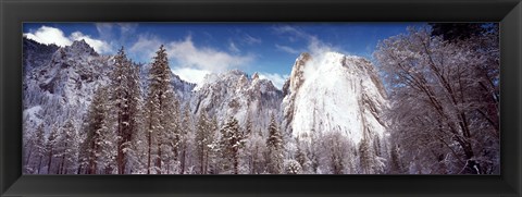 Framed Snowy trees with rocks in winter, Cathedral Rocks, Yosemite National Park, California, USA Print