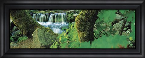 Framed Waterfall in a forest Print