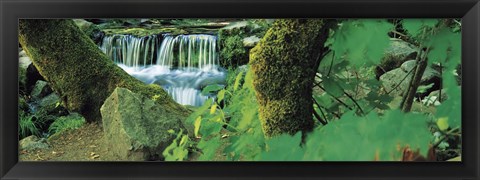 Framed Waterfall in a forest Print