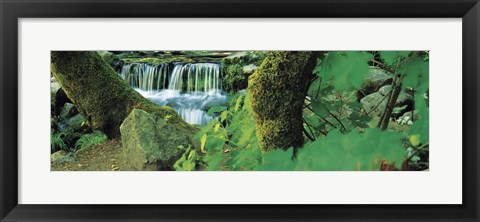 Framed Waterfall in a forest Print