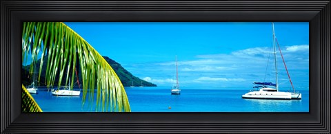 Framed Sailboats in the ocean, Tahiti, Society Islands, French Polynesia (horizontal) Print