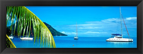 Framed Sailboats in the ocean, Tahiti, Society Islands, French Polynesia (horizontal) Print