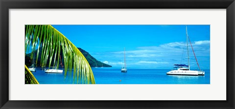 Framed Sailboats in the ocean, Tahiti, Society Islands, French Polynesia (horizontal) Print