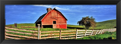 Framed Old barn with fence in a field, Palouse, Whitman County, Washington State, USA Print