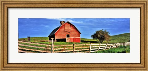 Framed Old barn with fence in a field, Palouse, Whitman County, Washington State, USA Print