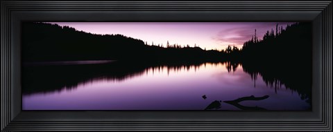 Framed Reflection of trees in a lake, Mt Rainier National Park, Washington State Print
