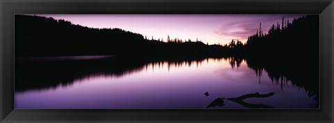 Framed Reflection of trees in a lake, Mt Rainier National Park, Washington State Print