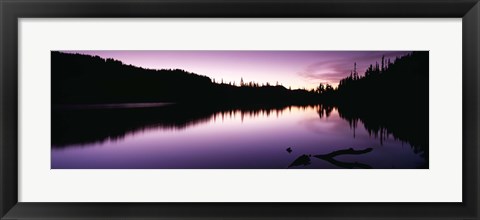 Framed Reflection of trees in a lake, Mt Rainier National Park, Washington State Print