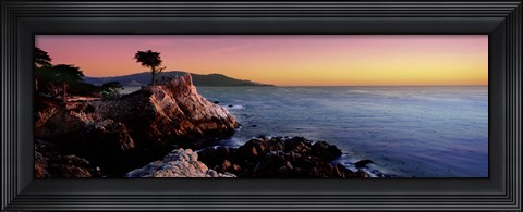 Framed Silhouette of Lone Cypress Tree at a coast, 17-Mile Drive, Carmel, Monterey County, California, USA Print