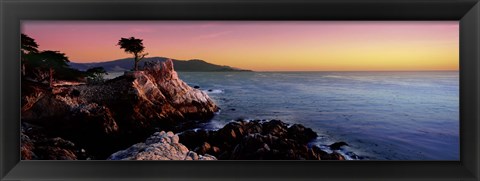 Framed Silhouette of Lone Cypress Tree at a coast, 17-Mile Drive, Carmel, Monterey County, California, USA Print