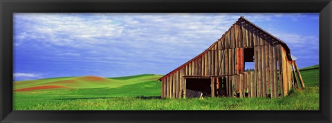 Framed Dilapidated barn in a farm, Palouse, Whitman County, Washington State, USA Print