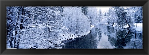 Framed Snow covered trees along a river, Yosemite National Park, California, USA Print