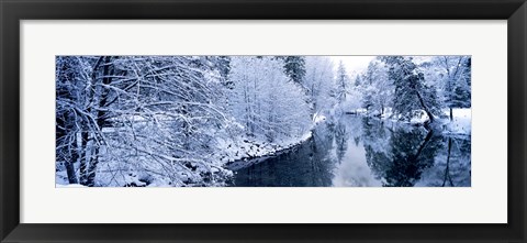 Framed Snow covered trees along a river, Yosemite National Park, California, USA Print