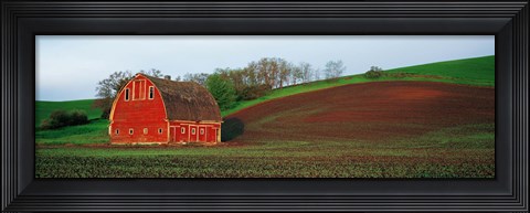 Framed Red Barn in a Field at Sunset, Washington State, USA Print