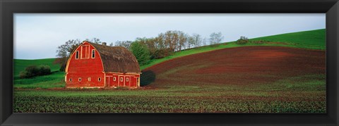 Framed Red Barn in a Field at Sunset, Washington State, USA Print