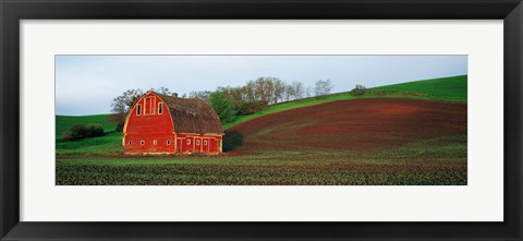 Framed Red Barn in a Field at Sunset, Washington State, USA Print